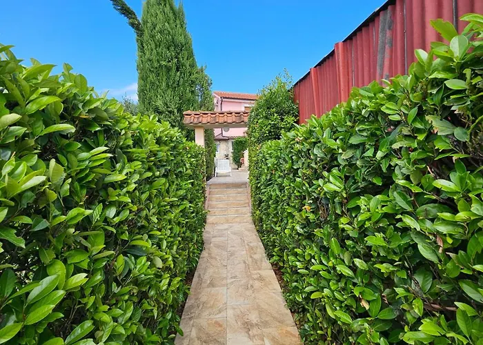 Kate, With A Private Swimming Pool And Garden ヴィラ